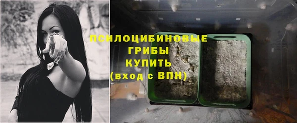 спиды Арсеньев
