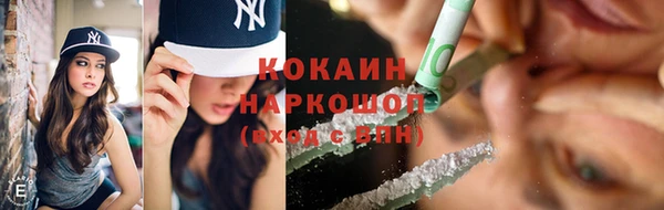 МДПВ Чекалин
